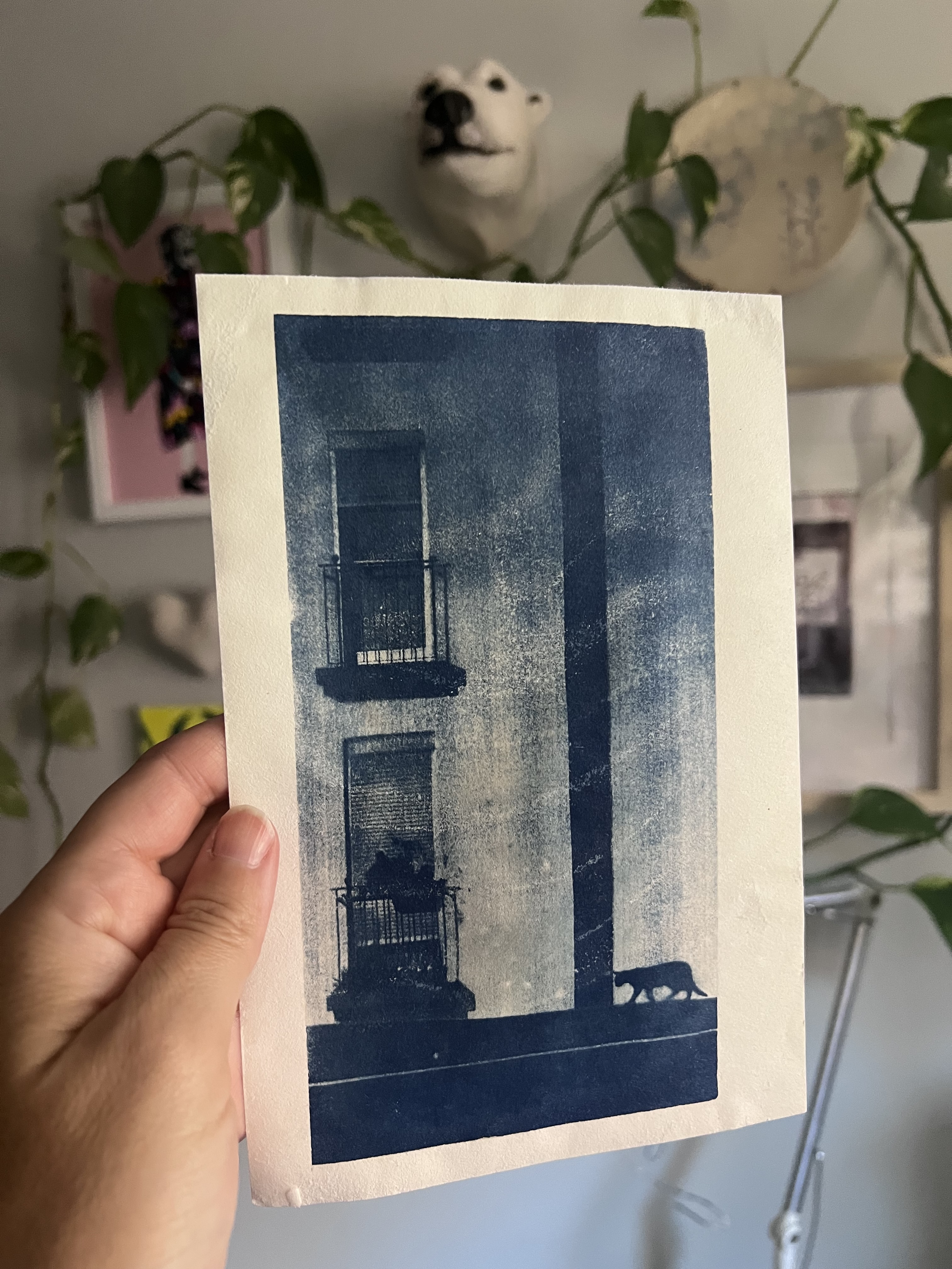 Del negativo al papel: exposición, lavado y secado
